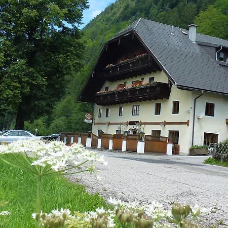 Gasthof Steinbraeu Faistenau Kültér fotó